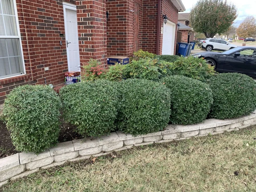 Reliable lawn mowing service experts serving Argyle, TX - Platinum Lawn Care