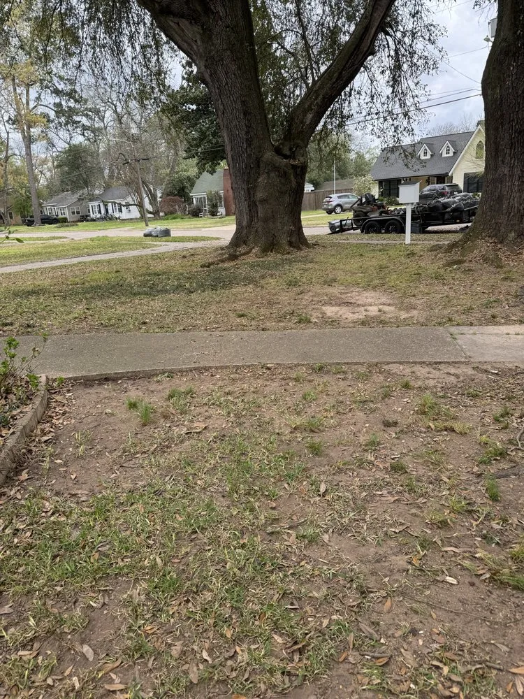 Affordable yard maintenance in Benton, LA - Platinum Lawn Care