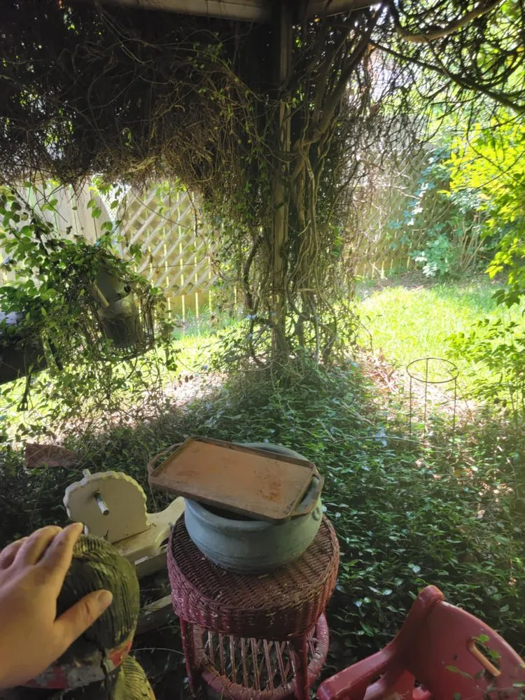 Reliable landscape design in Benton, LA by Platinum Lawn Care