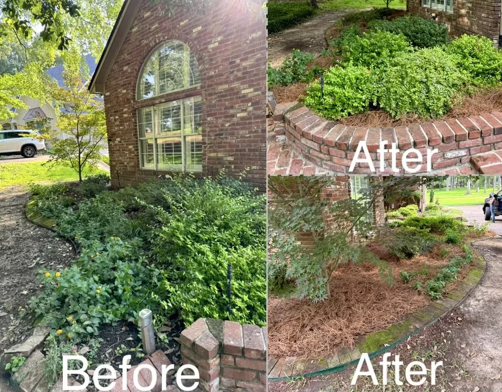 Top-rated lawn care service for beautiful yards in Benton, LA by Platinum Lawn Care