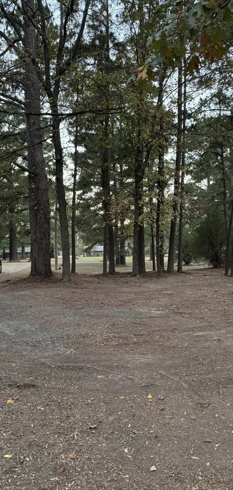 Professional lawn mowing service in Benton, LA by Platinum Lawn Care