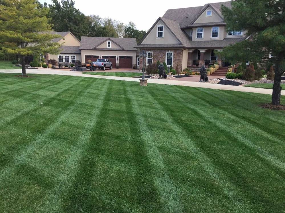 Expert yard maintenance in Blue Springs, MO - Platinum Lawn Care