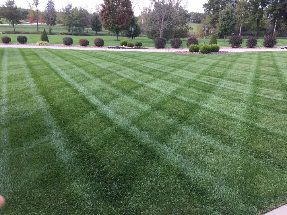 Professional outdoor landscaping near you in Blue Springs, MO by Platinum Lawn Care