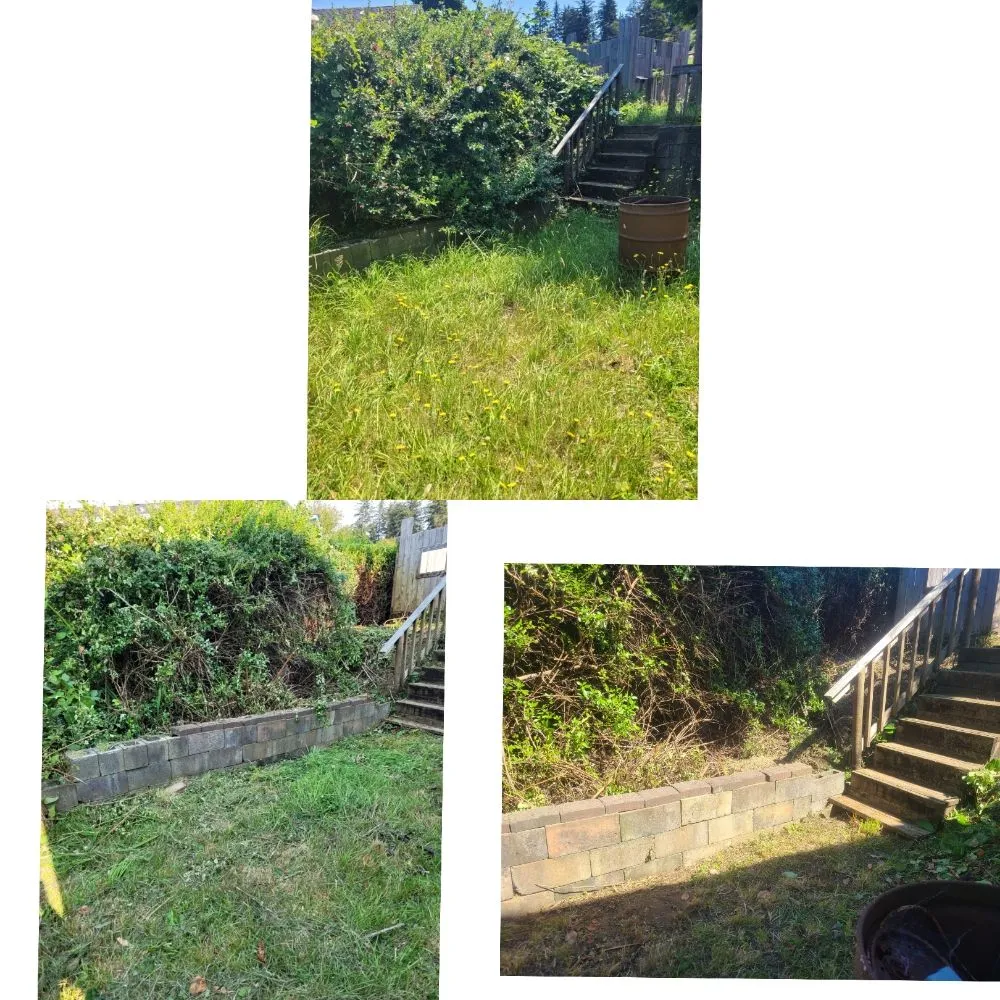 Affordable yard cleanup service near you in North Bend, OR by Platinum Lawn Care