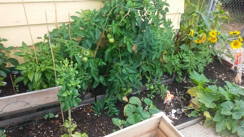 Top-rated landscape design for year-round maintenance in North Bend, OR by Platinum Lawn Care