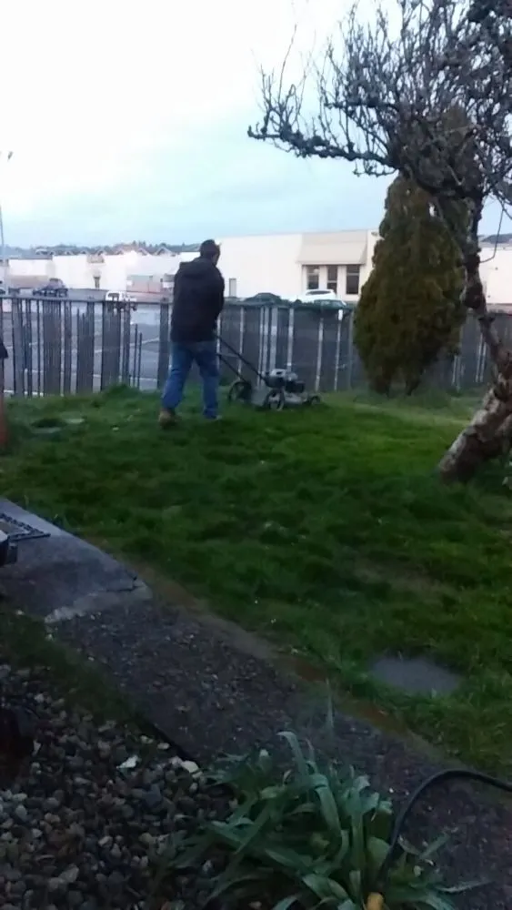 Custom lawn care service experts serving North Bend, OR - Platinum Lawn Care