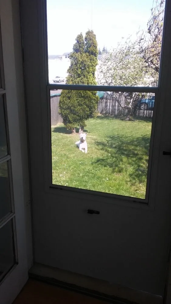 Top-rated lawn care service in North Bend, OR - Platinum Lawn Care