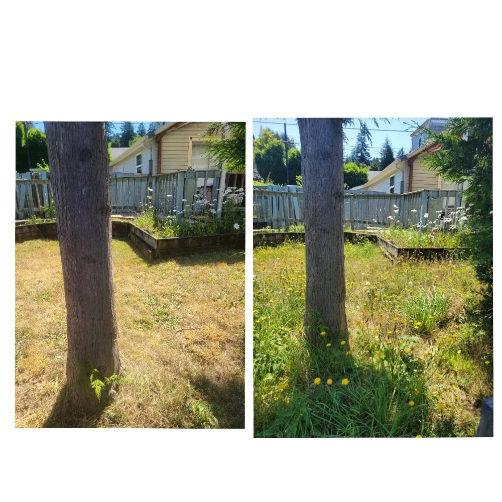 Custom yard cleanup service for beautiful yards across North Bend, OR - Platinum Lawn Care