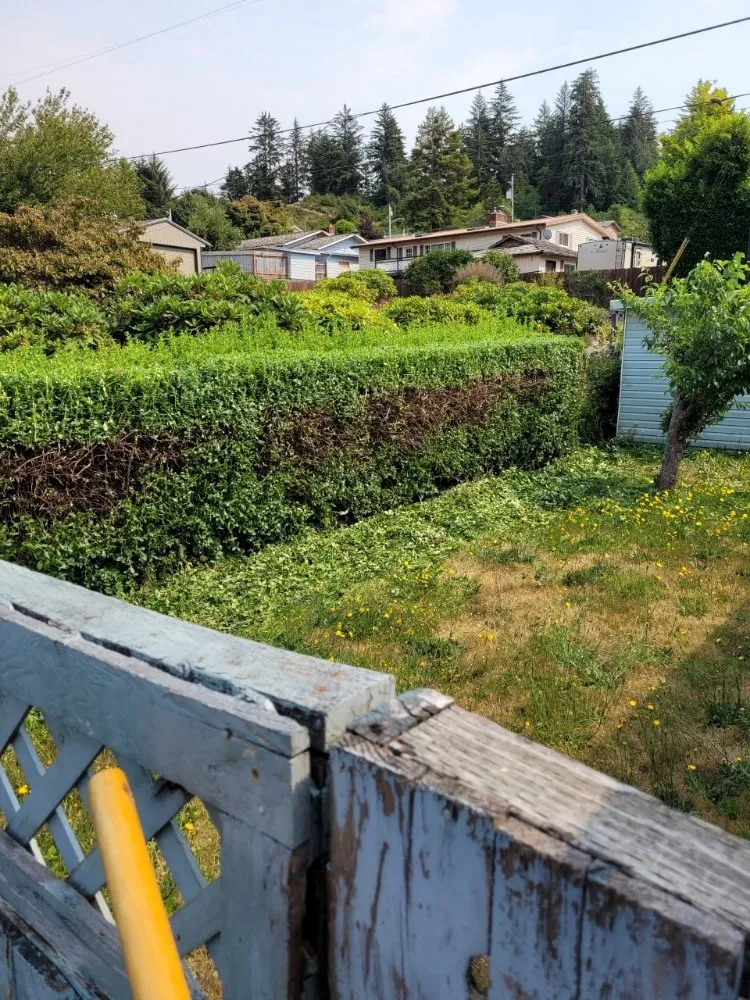 Custom lawn mowing service near you in North Bend, OR by Platinum Lawn Care