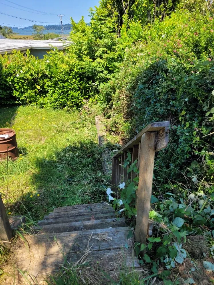 Professional lawn care service in North Bend, OR - Platinum Lawn Care