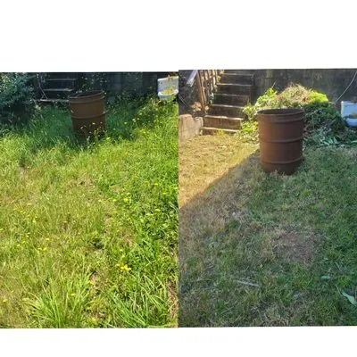 Platinum Lawn Care Logo