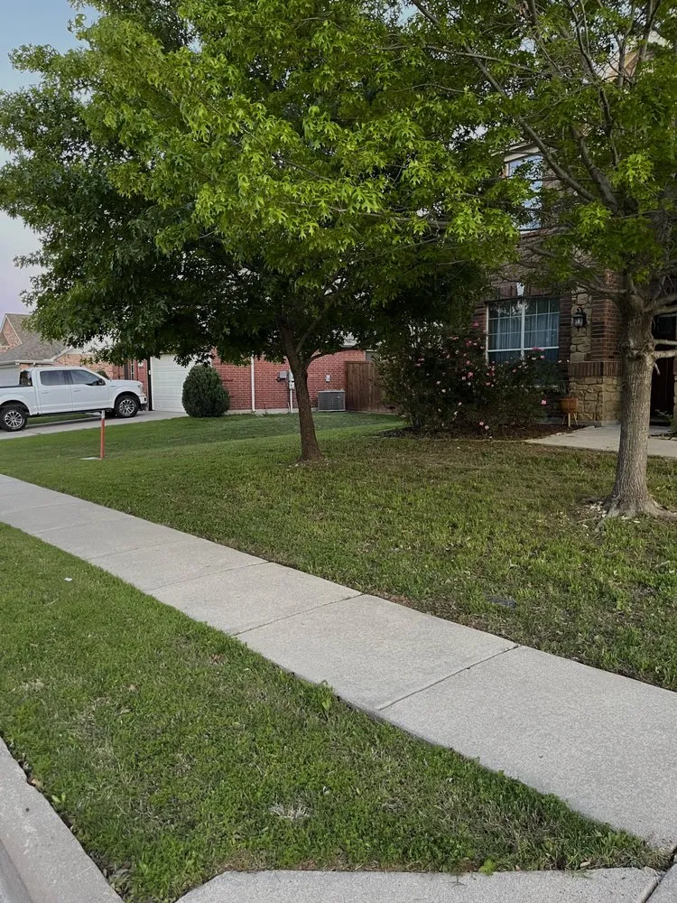 Custom garden landscaping for year-round maintenance in Richland Hills, TX by Platinum Lawn Care