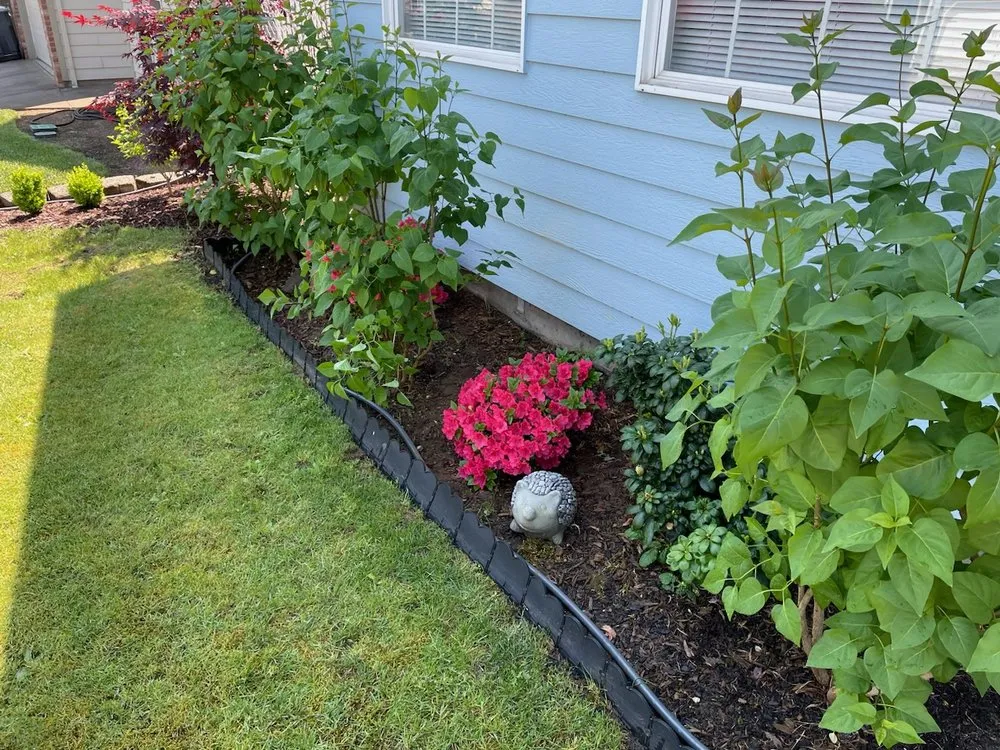 Expert outdoor landscaping in Salem, OR - Platinum Lawn Care