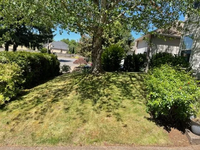 Reliable outdoor landscaping experts serving Salem, OR - Platinum Lawn Care