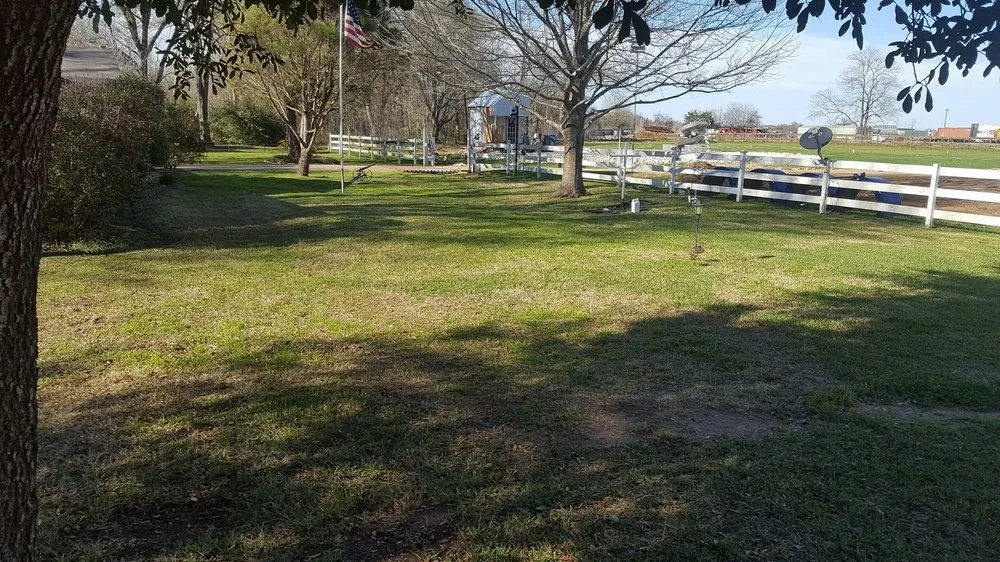 Affordable lawn care service for beautiful yards in Caldwell, TX by Platinum Lawn Maintenance