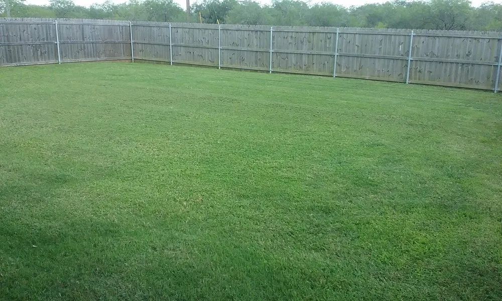 Professional residential landscaping experts serving Caldwell, TX - Platinum Lawn Maintenance