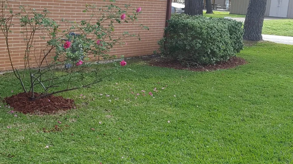 Local yard maintenance experts serving Caldwell, TX - Platinum Lawn Maintenance