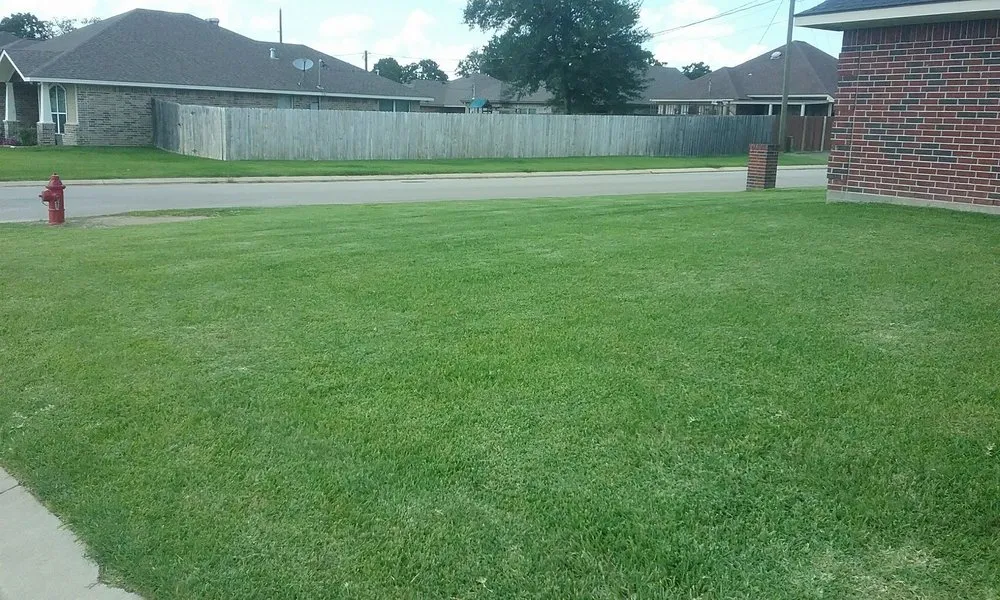 Expert residential landscaping for year-round maintenance across Caldwell, TX - Platinum Lawn Maintenance