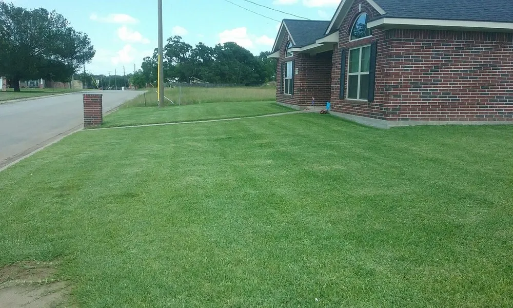 Trusted yard cleanup service experts serving Caldwell, TX - Platinum Lawn Maintenance