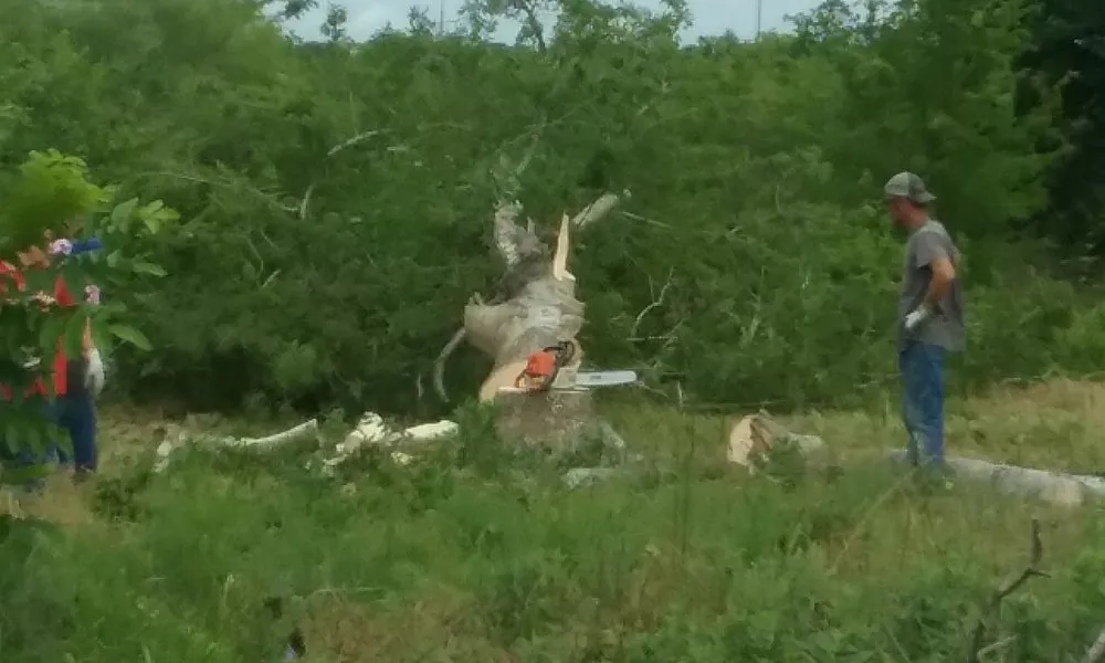 Reliable lawn care service for beautiful yards across Caldwell, TX - Platinum Lawn Maintenance