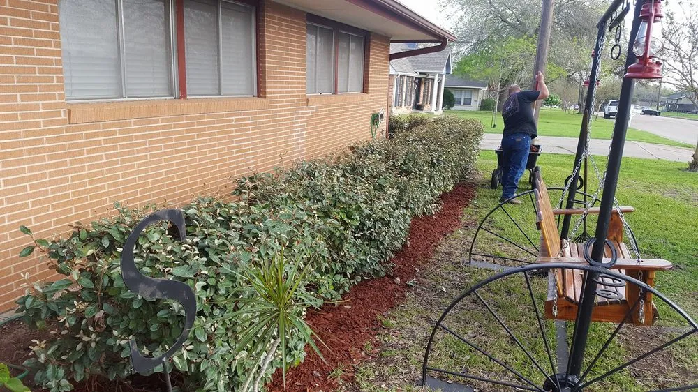 Top-rated lawn mowing service for residential properties across Caldwell, TX - Platinum Lawn Maintenance