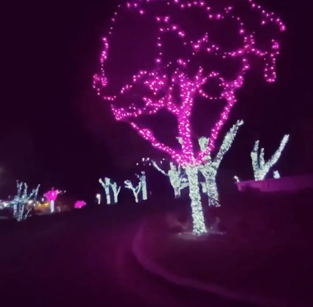 Affordable yard cleanup service for outdoor upgrades across Sterling Heights, MI - Platinum Lawn Service & Landscaping