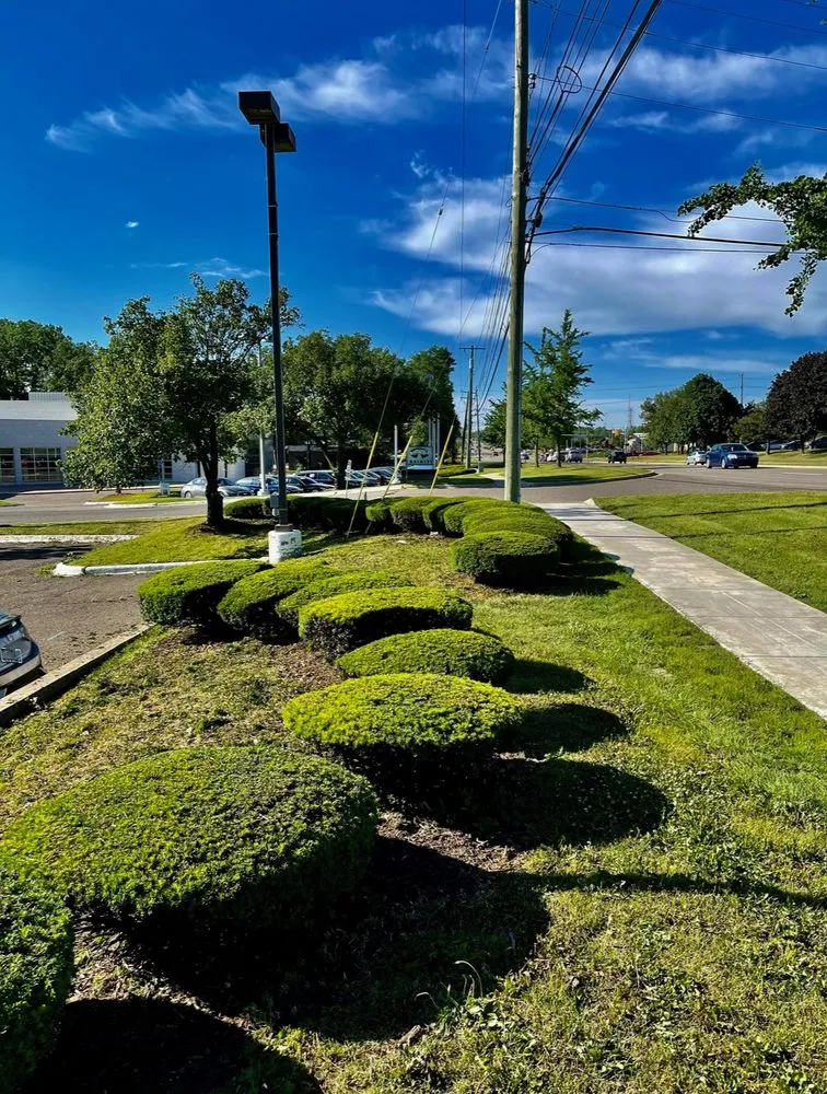 Expert lawn care service experts serving Sterling Heights, MI - Platinum Lawn Service & Landscaping