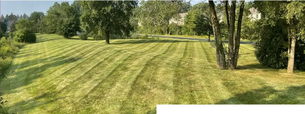 Top-rated landscape design in Sterling Heights, MI by Platinum Lawn Service & Landscaping