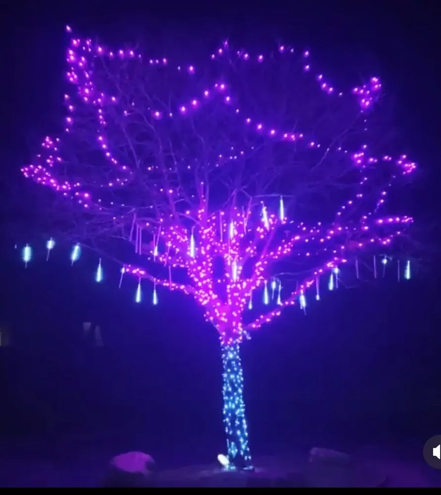 Reliable landscape design in Sterling Heights, MI - Platinum Lawn Service & Landscaping