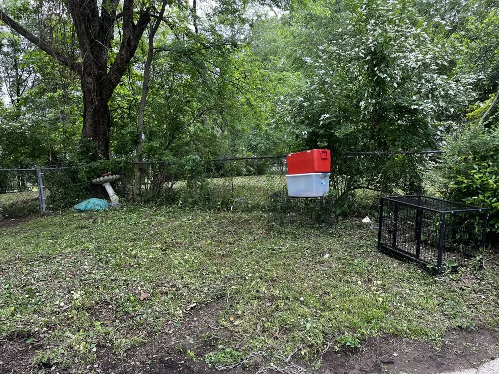 Professional lawn mowing service in Pinson, AL - Platinum Lawn Service