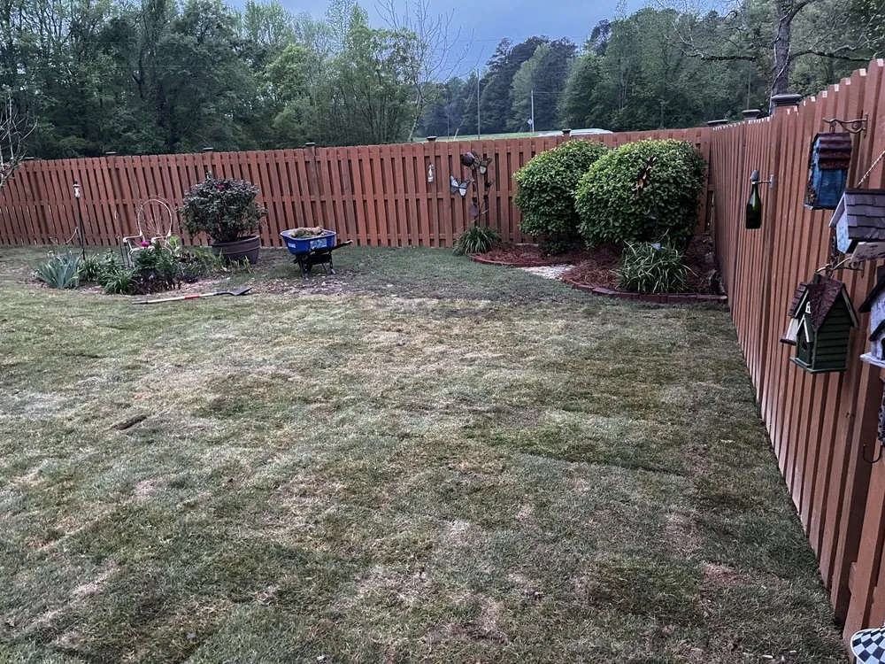 Top-rated lawn care service for year-round maintenance in Pinson, AL by Platinum Lawn Service
