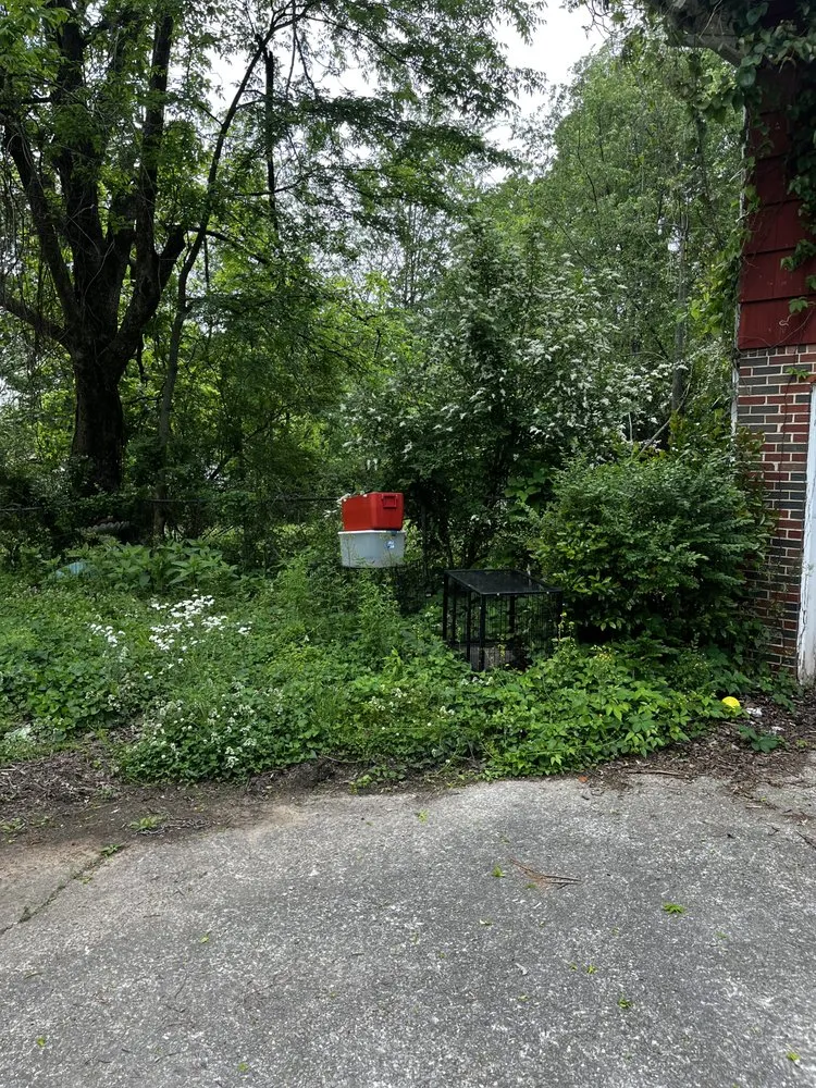 Trusted yard maintenance experts serving Pinson, AL - Platinum Lawn Service