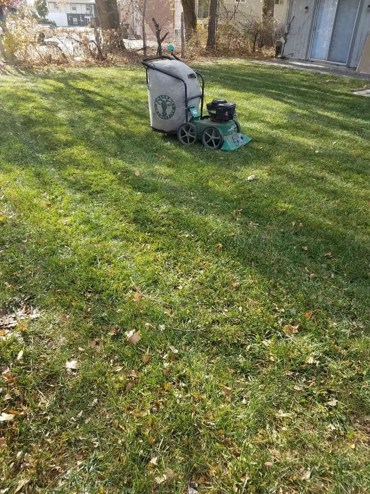 Custom yard cleanup service in Spanish Fork, UT - Platinum Lawn Service