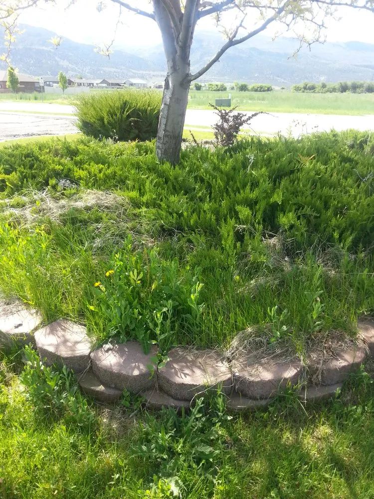 Top-rated landscape installation in Spanish Fork, UT by Platinum Lawn Service