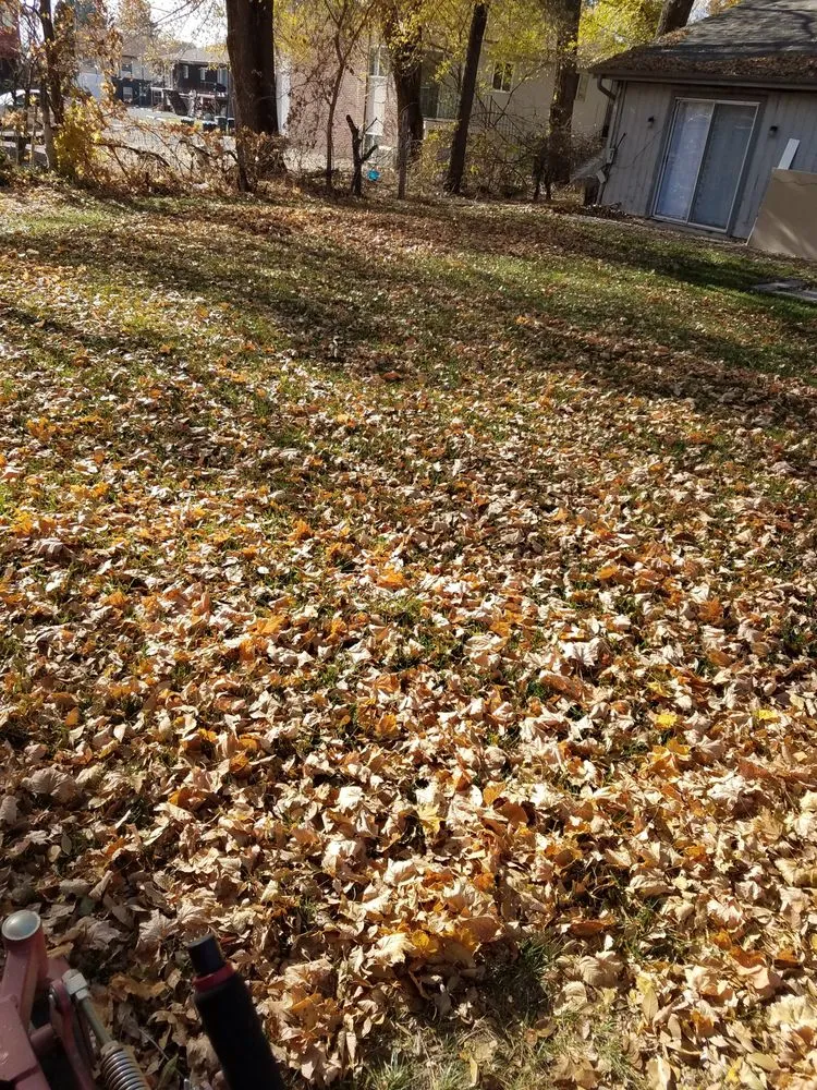 Professional garden landscaping in Spanish Fork, UT by Platinum Lawn Service