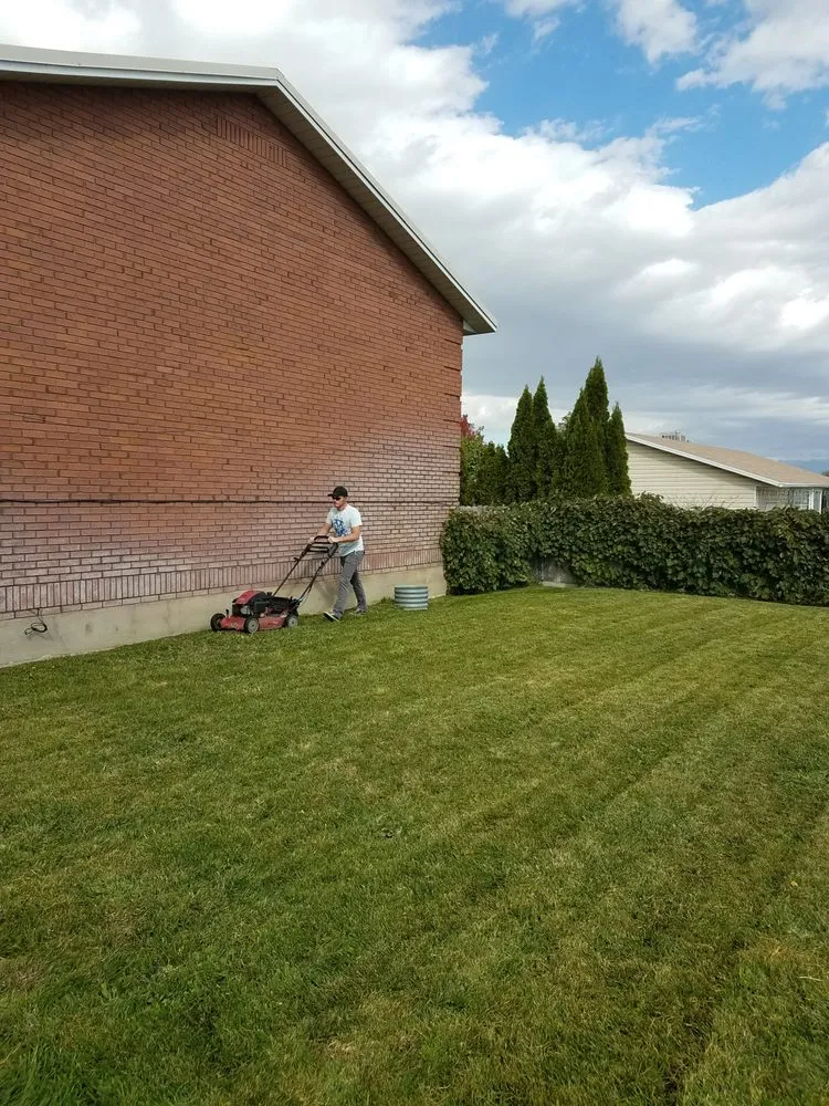 Top-rated yard cleanup service in Spanish Fork, UT by Platinum Lawn Service
