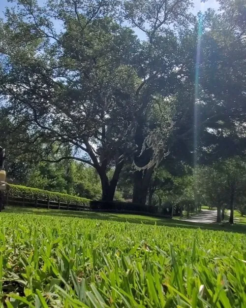 Trusted yard maintenance for outdoor upgrades across Sanford, FL - Platinum Lawn Solutions