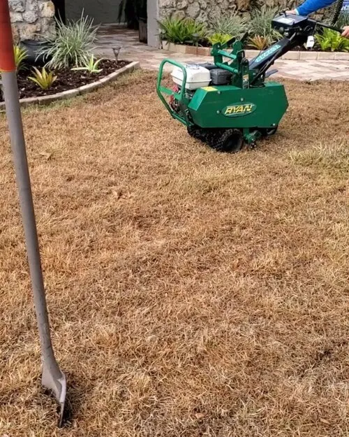 Expert yard cleanup service experts serving Sanford, FL - Platinum Lawn Solutions