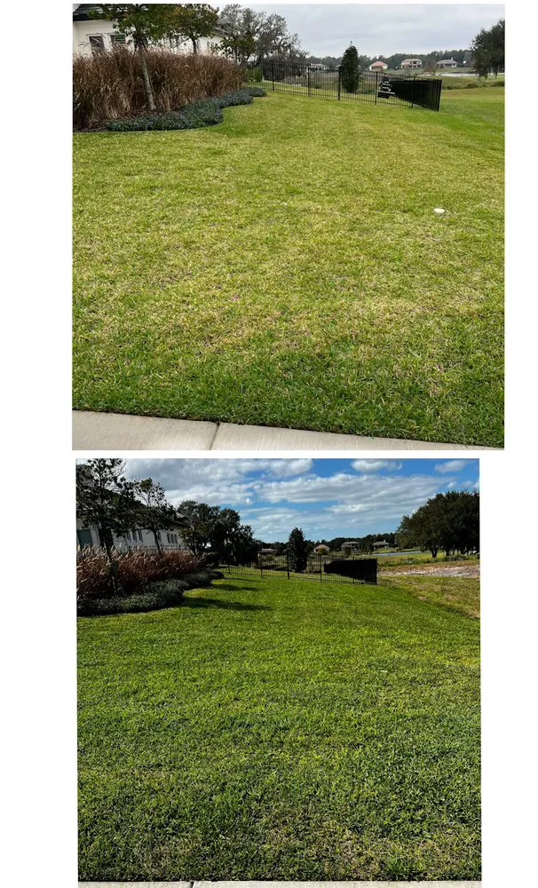 Reliable lawn mowing service in Sanford, FL - Platinum Lawn Solutions