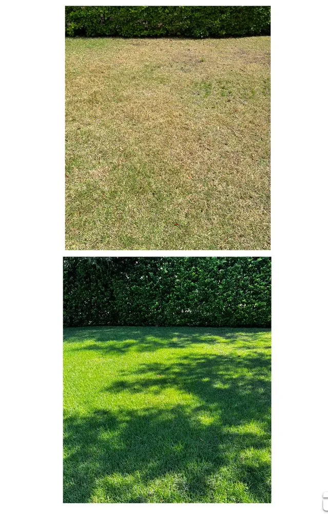 Reliable landscape installation in Sanford, FL by Platinum Lawn Solutions