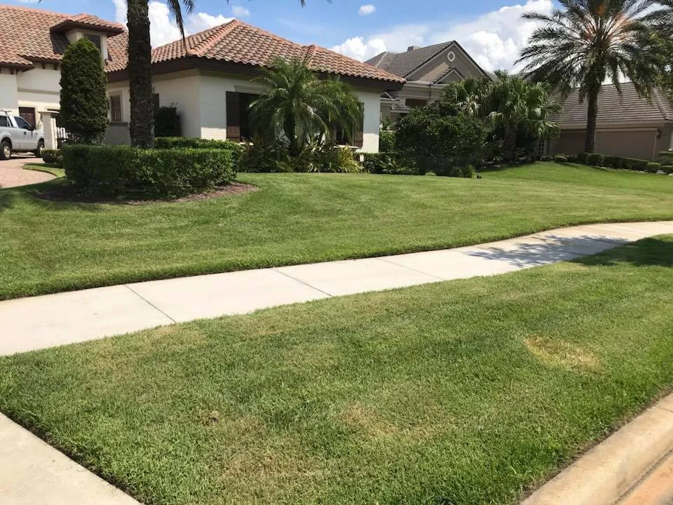 Affordable yard maintenance in Sanford, FL - Platinum Lawn Solutions