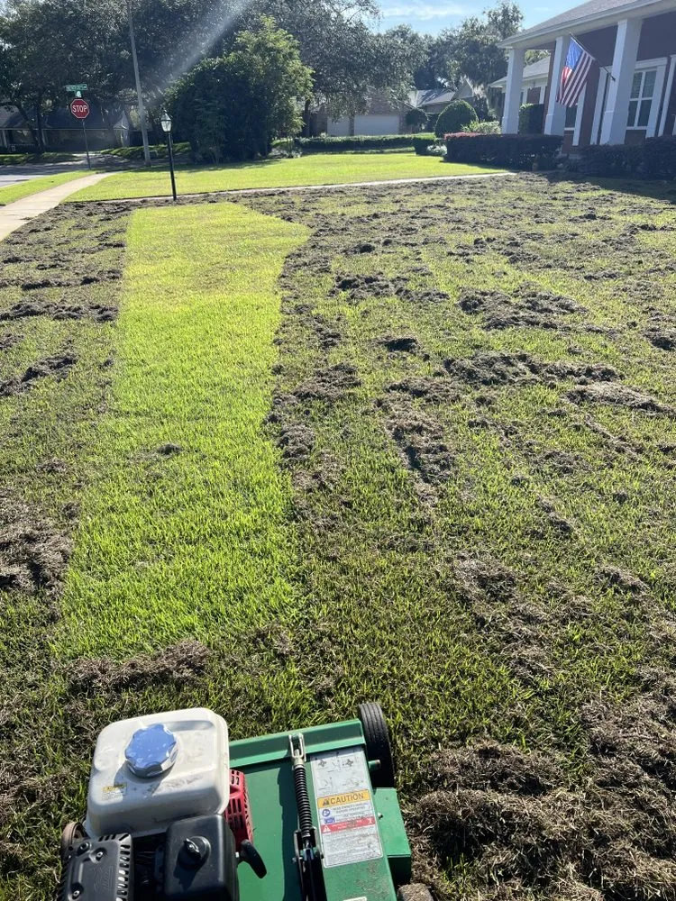 Expert yard cleanup service near you across Sanford, FL - Platinum Lawn Solutions