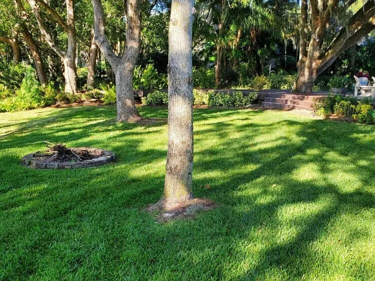 Local landscaping services with custom design across Sanford, FL - Platinum Lawn Solutions