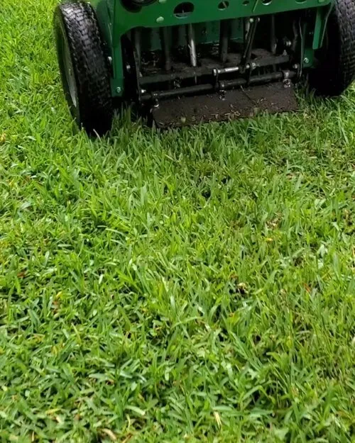 Reliable residential landscaping in Sanford, FL - Platinum Lawn Solutions