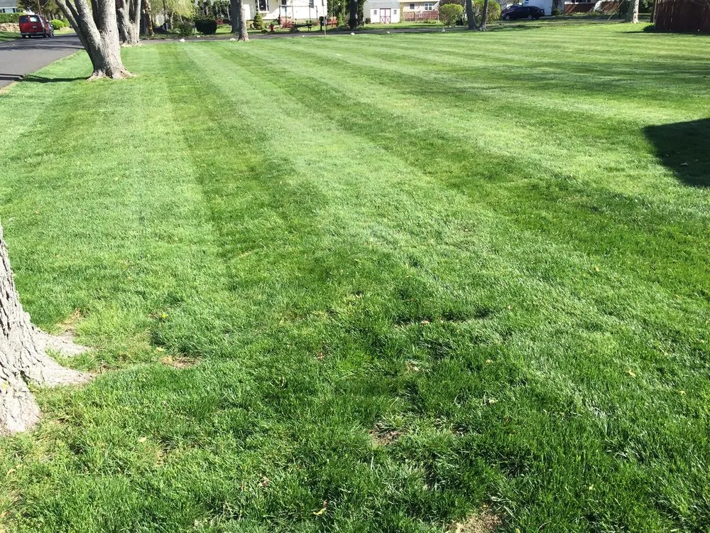 Expert residential landscaping experts serving Langhorne, PA - Platinum Lawncare & Landscaping