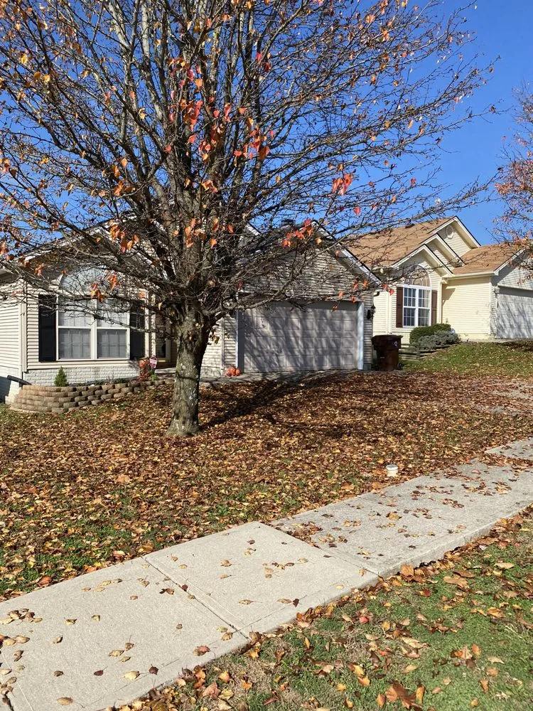 Affordable lawn mowing service with custom design in Lexington, KY by Platinum Lawns