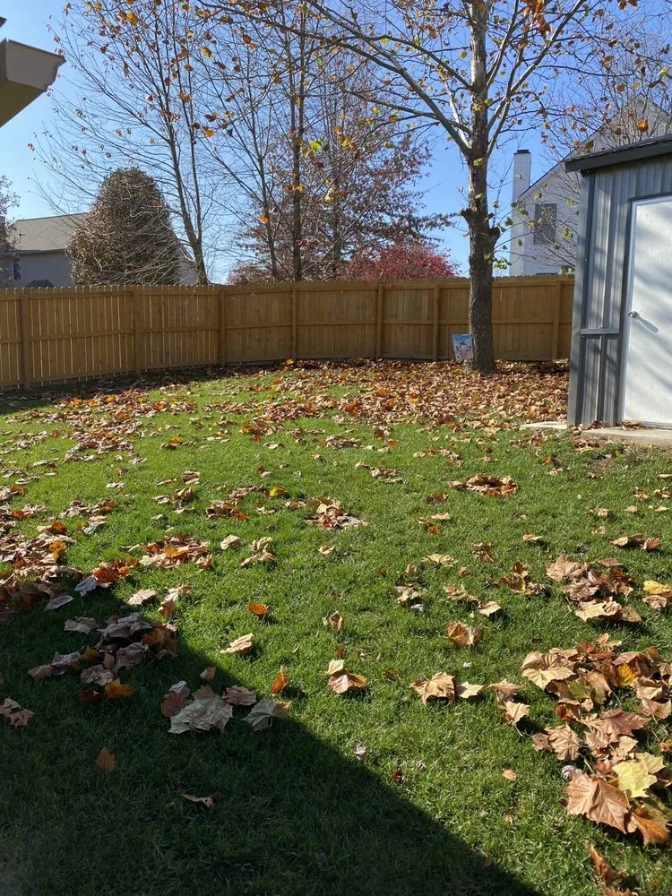 Local lawn mowing service in Lexington, KY - Platinum Lawns