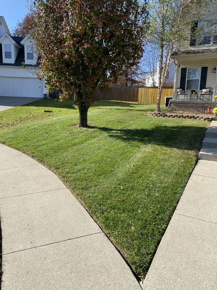 Trusted yard maintenance in Lexington, KY - Platinum Lawns