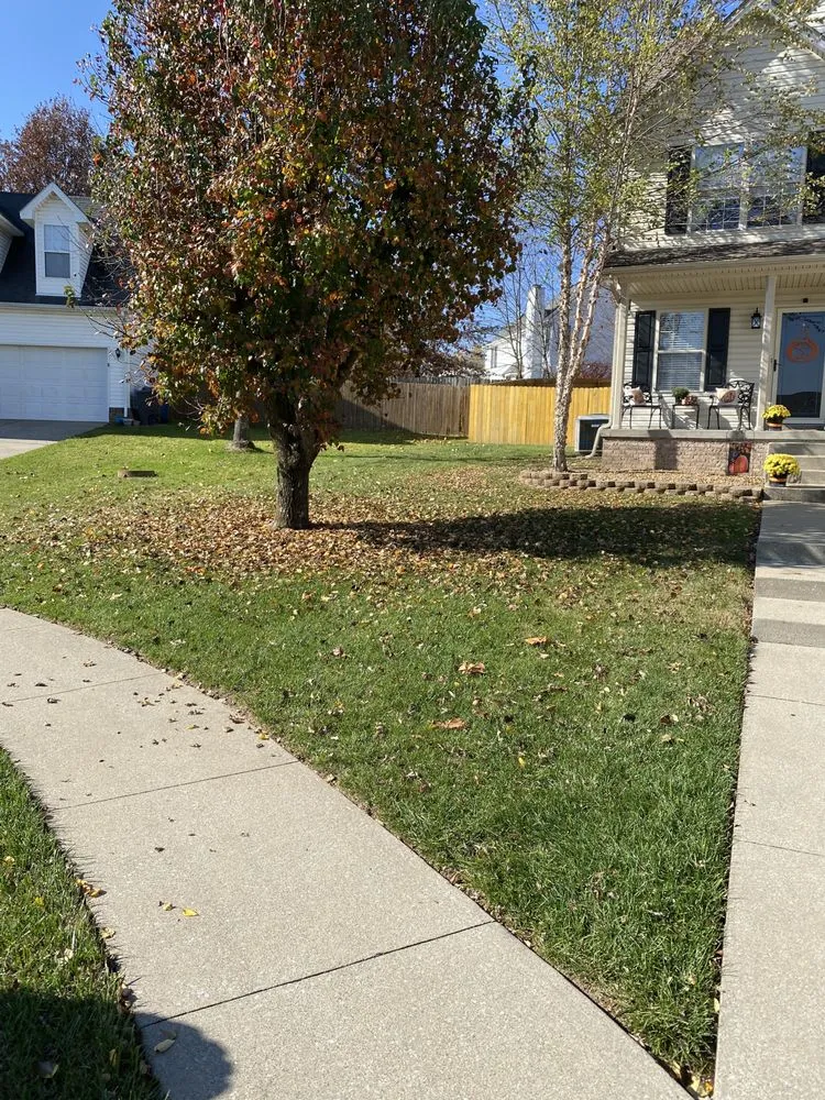 Reliable lawn care service in Lexington, KY - Platinum Lawns