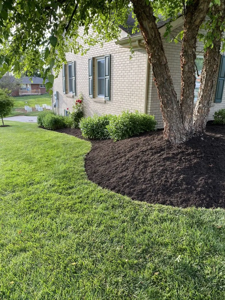 Professional landscape installation in Lexington, KY - Platinum Lawns